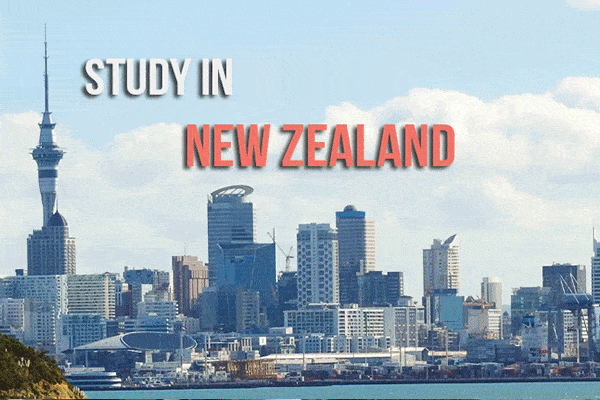 Trung tâm tư vấn du học New Zealand uy tín tại TP.HCM