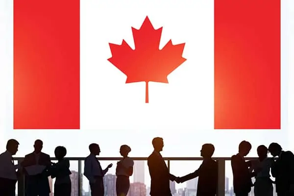 Các ngành nên học ở Canada là gì?