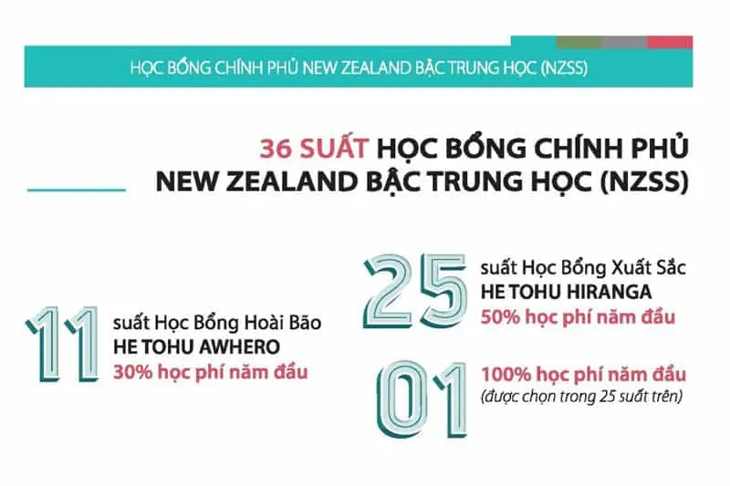 hoc bong chinh phu new zealand bac trung hoc