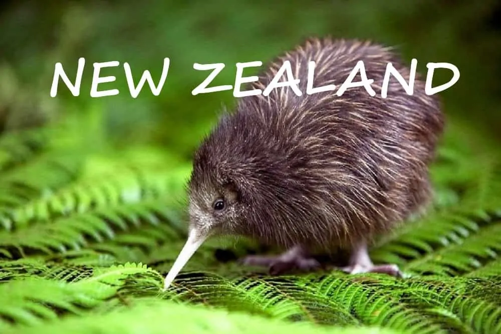 Tại Sao Phải Đến New Zealand!