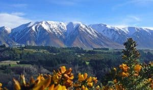 cảnh đẹp New Zealand e1590393548605